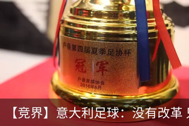 【竞界】意大利足球：没有改革 只有新的补锅匠