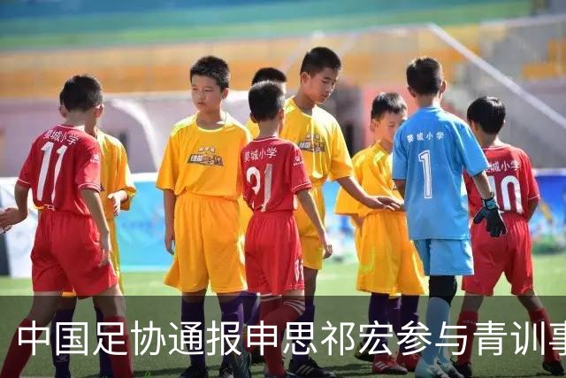 中国足协通报申思祁宏参与青训事件 将密切关注调查进展