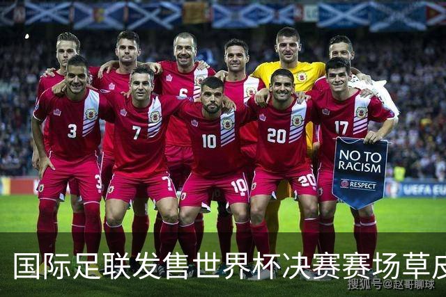 国际足联发售世界杯决赛赛场草皮 450美元一份