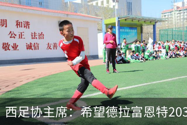 西足协主席：希望德拉富恩特2030年继续带队，我们对他很满意
