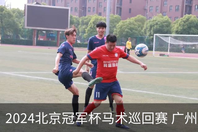 2024北京冠军杯马术巡回赛 广州泰骏张勇两冠